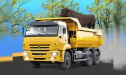 Grand Truck Simulator image