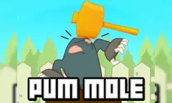 Pum Mole Whack a Mole image