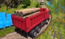 Offroad Indian Truck Hill Drive image