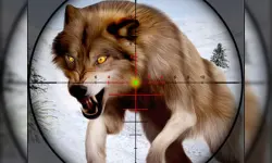 Fox Hunting Sniper Shooting image