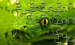 Snakes Jigsaw Puzzle image