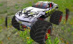 Monster Truck Driver image