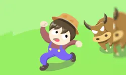 Bull Fighter image