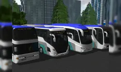 Bus Simulator Ultimate 2021 3D image