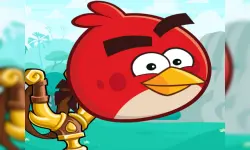 Angry Birds Casual image