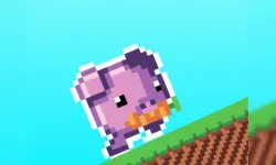 Toward to Carrot image