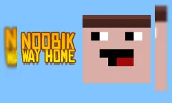 Noob: Way home image