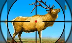 Wild Deer Hunting 3D image