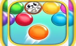 Bole Touch image