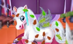 Magic Pet Salon image