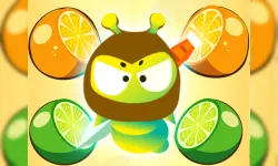 Fruits Ninja Hero image