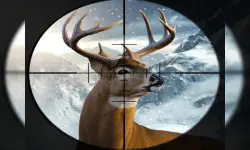 Hunter 3d image