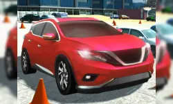 Driving Test Simulator image