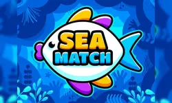 Sea Match image