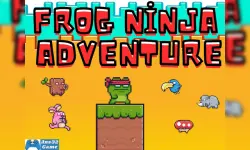 image bg Frog Ninja Adventure