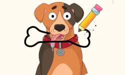 Puzzle Draw image