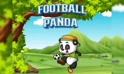 Football Panda image
