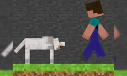 Steve and Wolf image