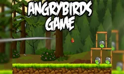 AngryBird image