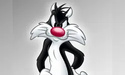 Sylvester Dress Up image