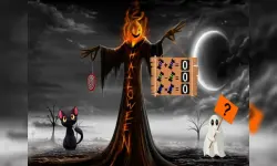 Halloween Owl Rescue image