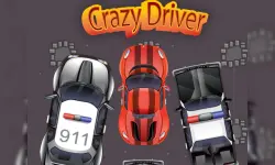Crazy Driver Police Chase Online Game image