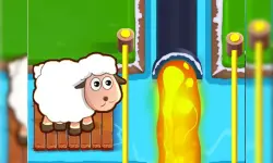 Sheep and road image
