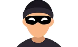 Save the Thief image