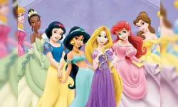 Princess Jigsaw Puzzle Collection image
