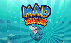Mad Shark Fish image