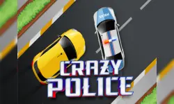 Crazy Police image