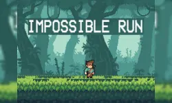 Impossible Run image
