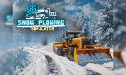 image bg Snow Plowing Simulator