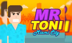 MR TONI Miami City image