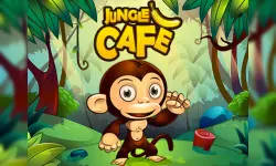 Jungle Cafe image