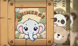 Animerge image