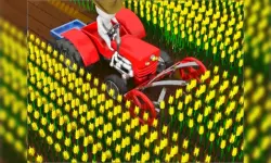 Cut the Grass Cutting Grass image