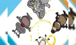Zoo Zoom Shapes image