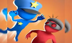 Catch The Robber image