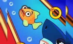 Rescue the fish! image