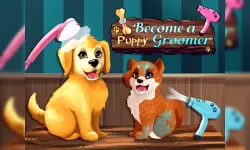 Become a Puppy Groomer image