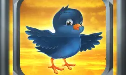 Bird Fly image