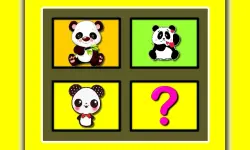 Baby Panda Memory image