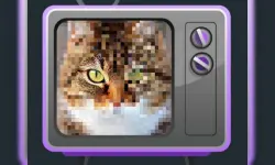 Mystery Pic image