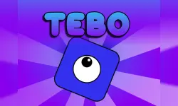 Tebo image