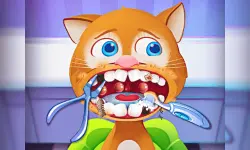 Pet House - Little Friends image
