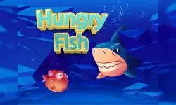 Hungry Fish image