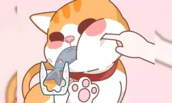 Happy Cat Puzzle image