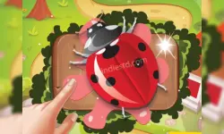 Bugs Bang 2019 image