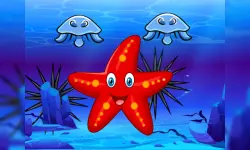 Survival Starfish image